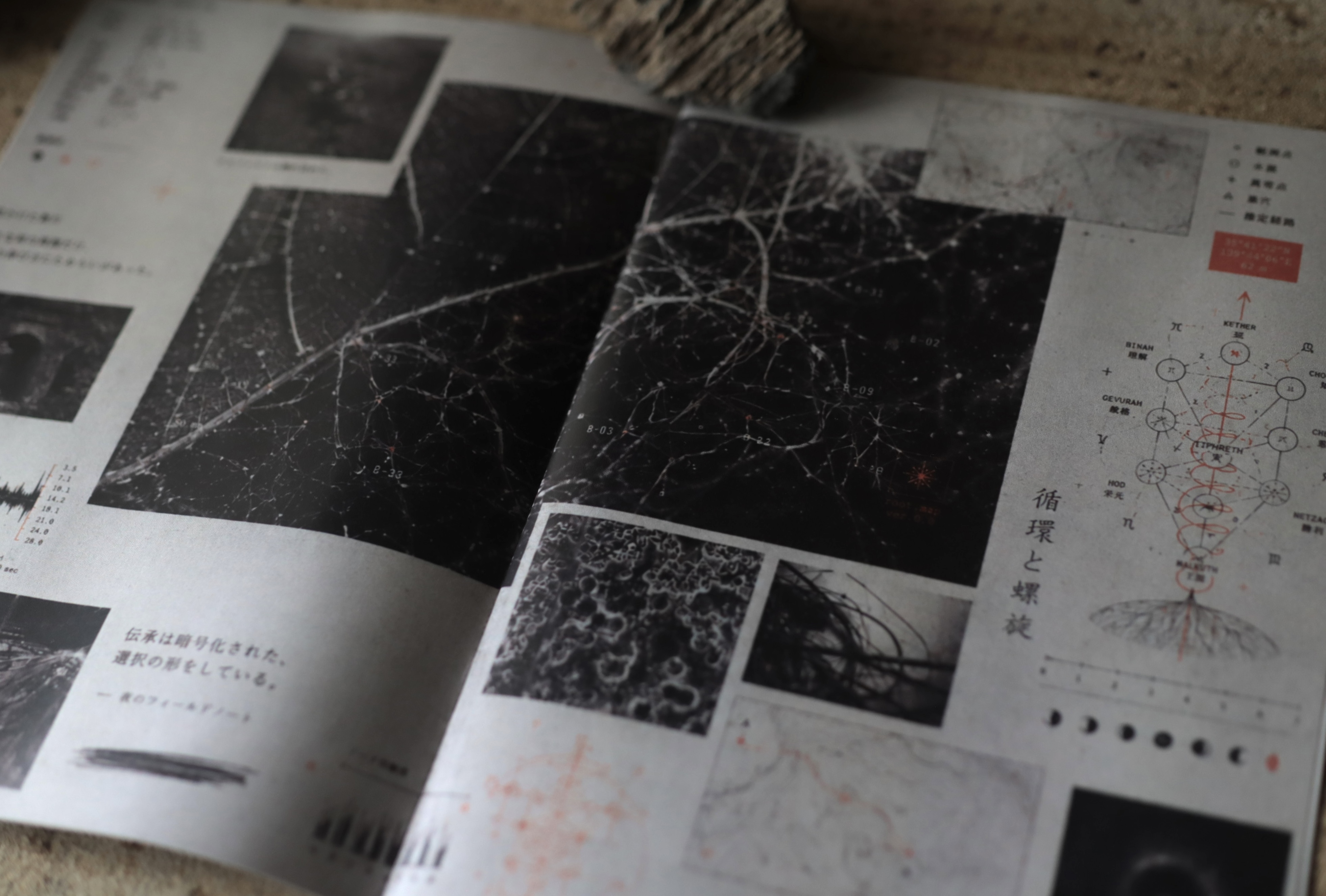 zine『境界採集』の見開き